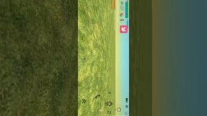 Призыв призрачного В ЧИКЕН ГАН