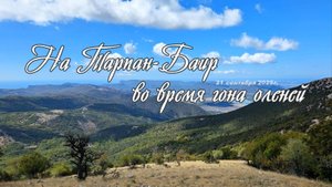 На Тарпан-Баир во время гона оленей