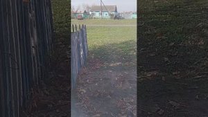 пиар за подписку