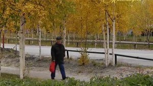 "МИМОХОДОМ, 25 сентября 2014 год. Автор проекта О. Дзиов