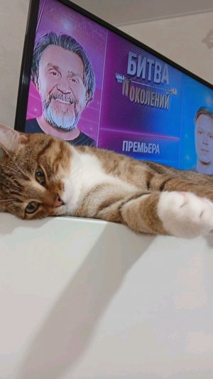 Осенний Стрим