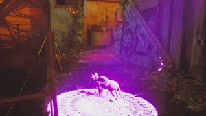 Stray. Тупик. Часть 14