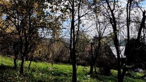 Время речкой бежит...