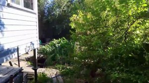 Продаётся уютный загородный дом в живописном районе Хабаровска