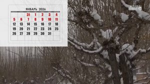 График праздничных и выходных дней на 2026 год установлен в России