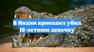 В Индии крокодил убил 15-летнюю девочку