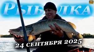 Когда уже начнётся осенний клёв, или он не существует?