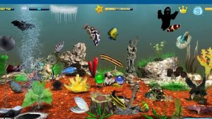 Игровой аквариум# 3. Кормление рыбок и замена взрослых на молодняк. День# 422