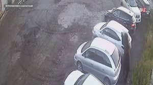 Медведь растерзал женщину у школы в Петропавловске-Камчатске / События на ТВЦ