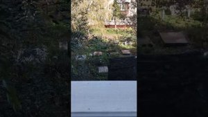 всем привет 👋