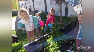 "Огород без хлопот"