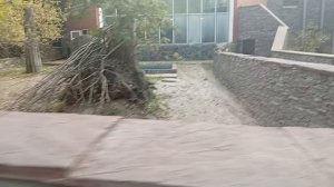 1000005969.mp4 зоопарк