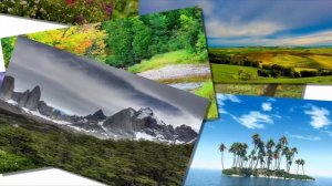 Saint-Preux - Free Yourself