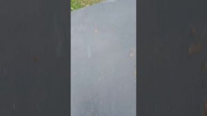Дервейс Ковбой.продолжаю ремонт дверей