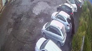 В связи с нападением медведя в Петропавловске-Камчатском усилили патрулирование