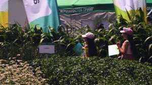 Всероссийский День поля-2025