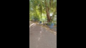 Очень Странные Дела Пародия