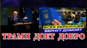 ТРАМП ДАЕТ ДОБРО / ЕВРОПА ВЕРНЕТ УКРАИНСКИХ БЕЖЕНЦЕВ В ВСУ