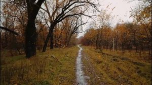 "После дождя". Муз. А Грачев, стихи А Башкиров, аранжировка П Велин