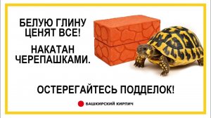 Куганакские черепашки и белая глина!