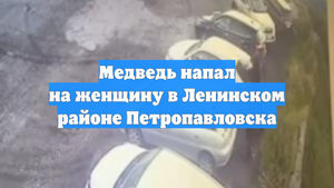Медведь напал на женщину в Ленинском районе Петропавловска