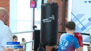 В Кургане состоялся открытый чемпионат общества «Динамо» по боксу в дисциплине «Удар на силу»
