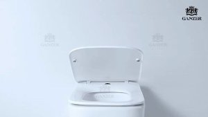 Унитаз подвесной Ganzer GZ19322 быстросъемное сиденье с микролифтом из дюропласта