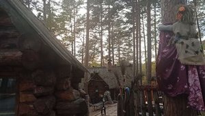 1000005950.mp4 зоопарк