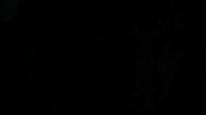 Это наша жизнь