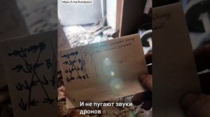 "Ну вот и всё"

Автор Пейдерс Юлия.