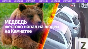Медведя-людоеда застрелили на Камчатке: он скальпировал женщину и ранил ребенка