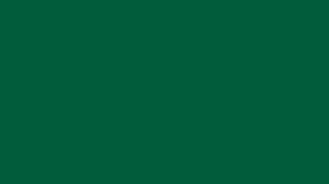 Sonic.exe MS-01-proto (Sonic.proto)