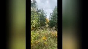 Продаётся земельный участок в направлении Тюменский тракт, коллективный сад Колос