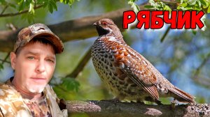 Рябчик в естественной среде обитания, пение птицы #ru_kompass #рябчик #орнитолог