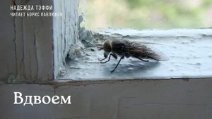 Надежда Тэффи "Вдвоем"