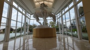 Национальный музей ковбоев в Оклахома-Сити