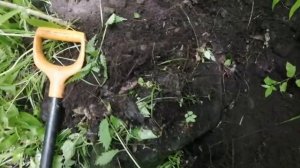 ПРИМОРЬЕ. Приборный поиск.