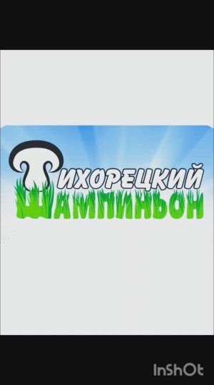 Как растут грибы шампиньоны на ферме по выращиванию грибов