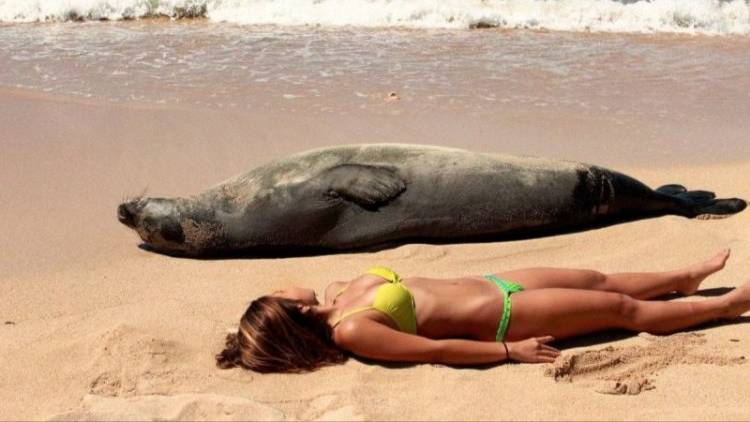 ✅ ТОП ПРИКОЛЫ — РЖОМ ДО КОЛИК! 🤣