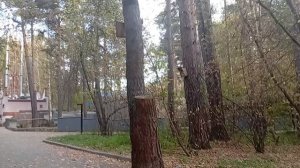 1000005960.mp4 зоопарк