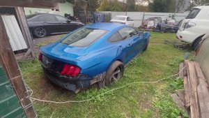 Продаю Ford Mustang по цене гнилой приоры