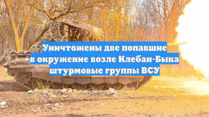 Уничтожены две попавшие в окружение возле Клебан-Быка штурмовые группы ВСУ