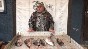 улов форели на малом водоёме