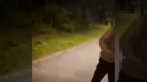 ‼️В Новой Москве молодые люди избили посетителя парка‼️