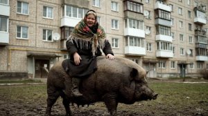Бабушка на поросёнке едет в Магнит