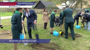 Всероссийский форум «Леса России» проходит на Нижегородской ярмарке