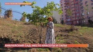 Библейский сад: мест красоты и силы