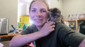 vlog ☀️ПОРОДИСТЫЙ КОТ / КУПИЛА ДОЗАТОР /ИНТЕРЕСНЫЕ НАСТОЛКИ / ВКУСНЫЙ ПИРОГ / РАЗЛИЛИ ЯЙЦА