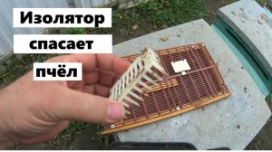 Переход на пчеловодство с изоляторами
