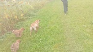 Я с подругой снимаю видео